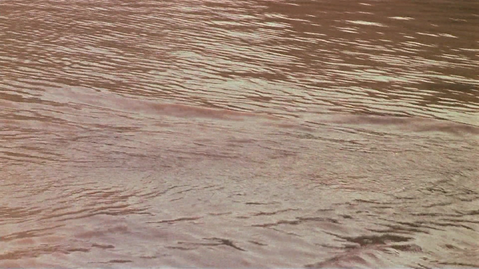 Passion Fish (1992), unknown, 1.78:1 — film still