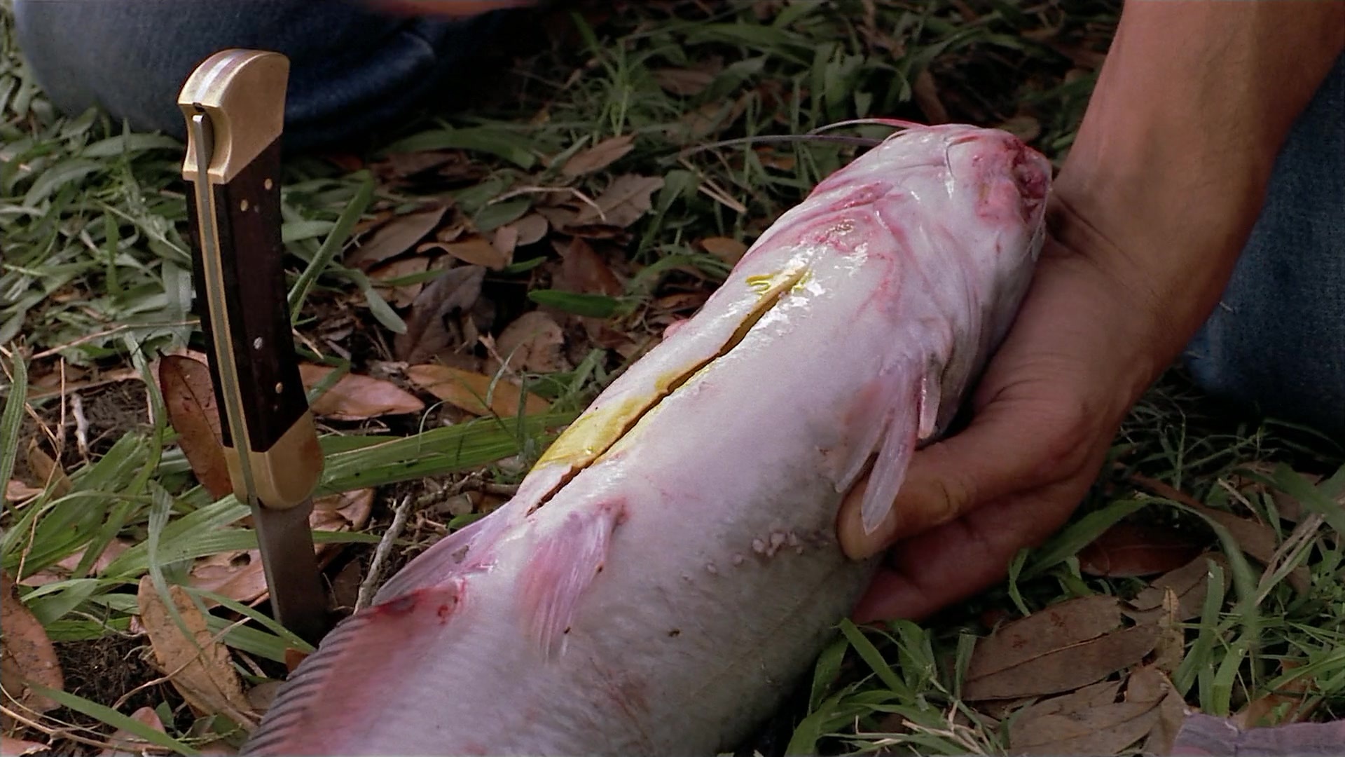 Passion Fish (1992), wide, 1.78:1 — film still