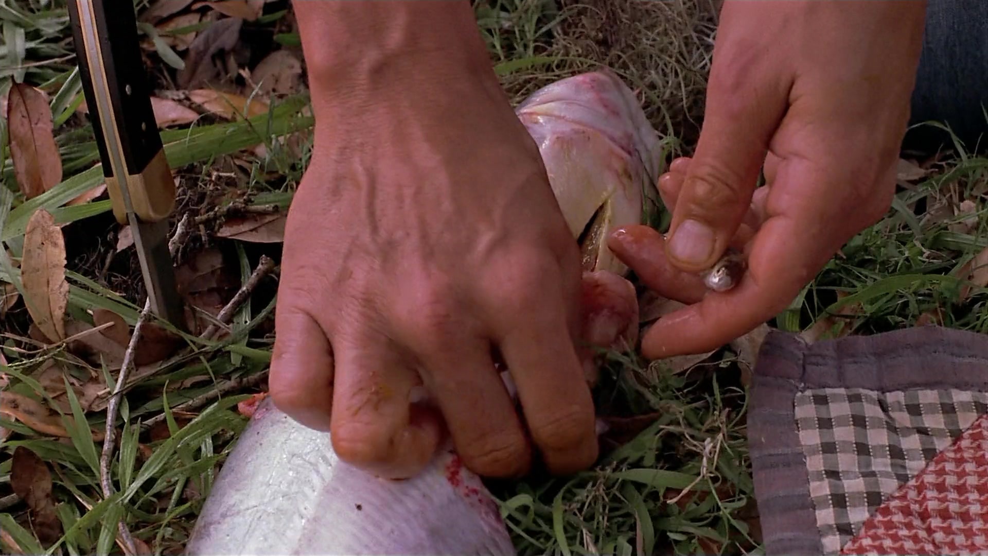 Passion Fish (1992), wide, 1.78:1 — film still