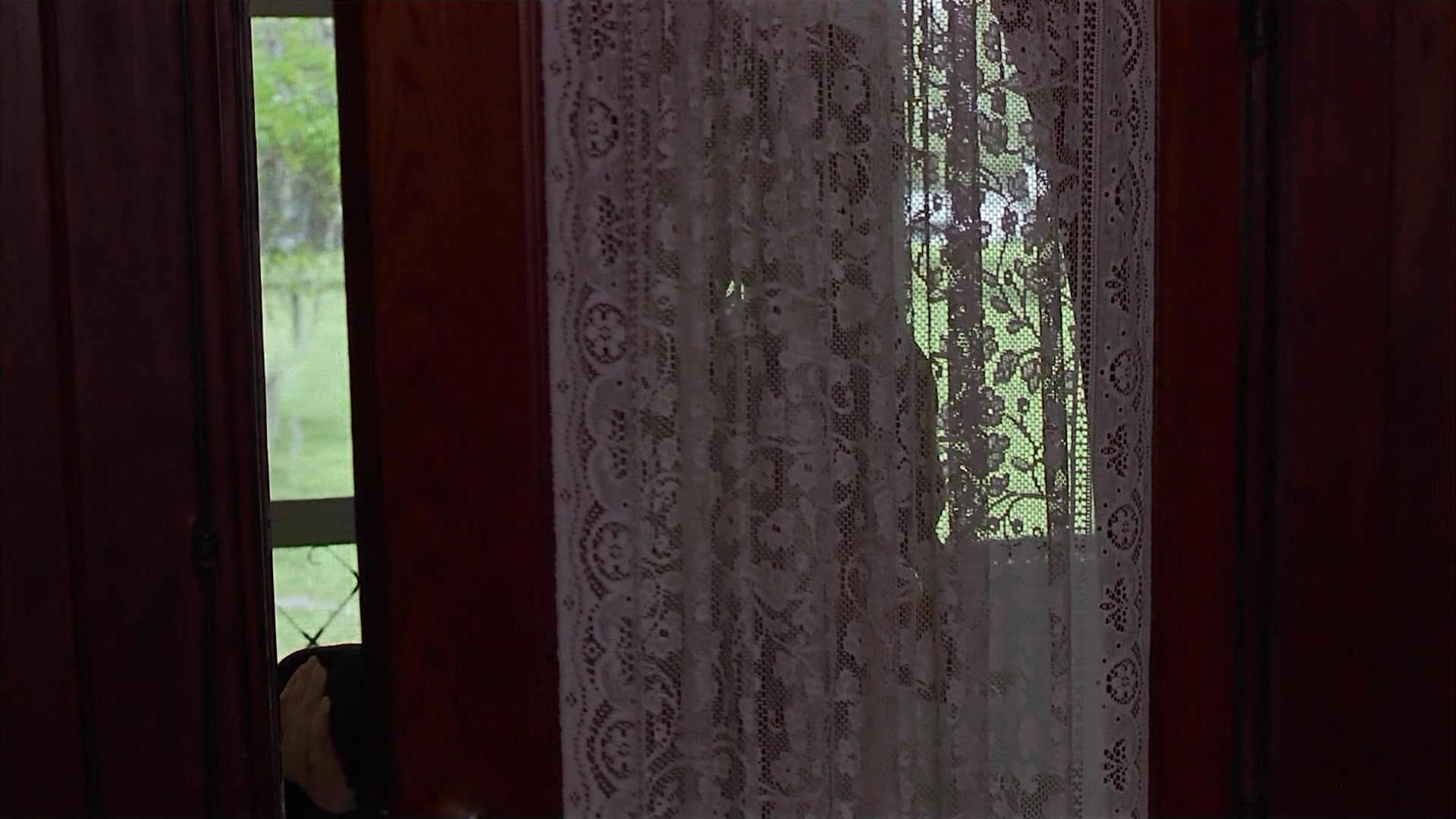 Passion Fish (1992), wide, 1.78:1 — film still