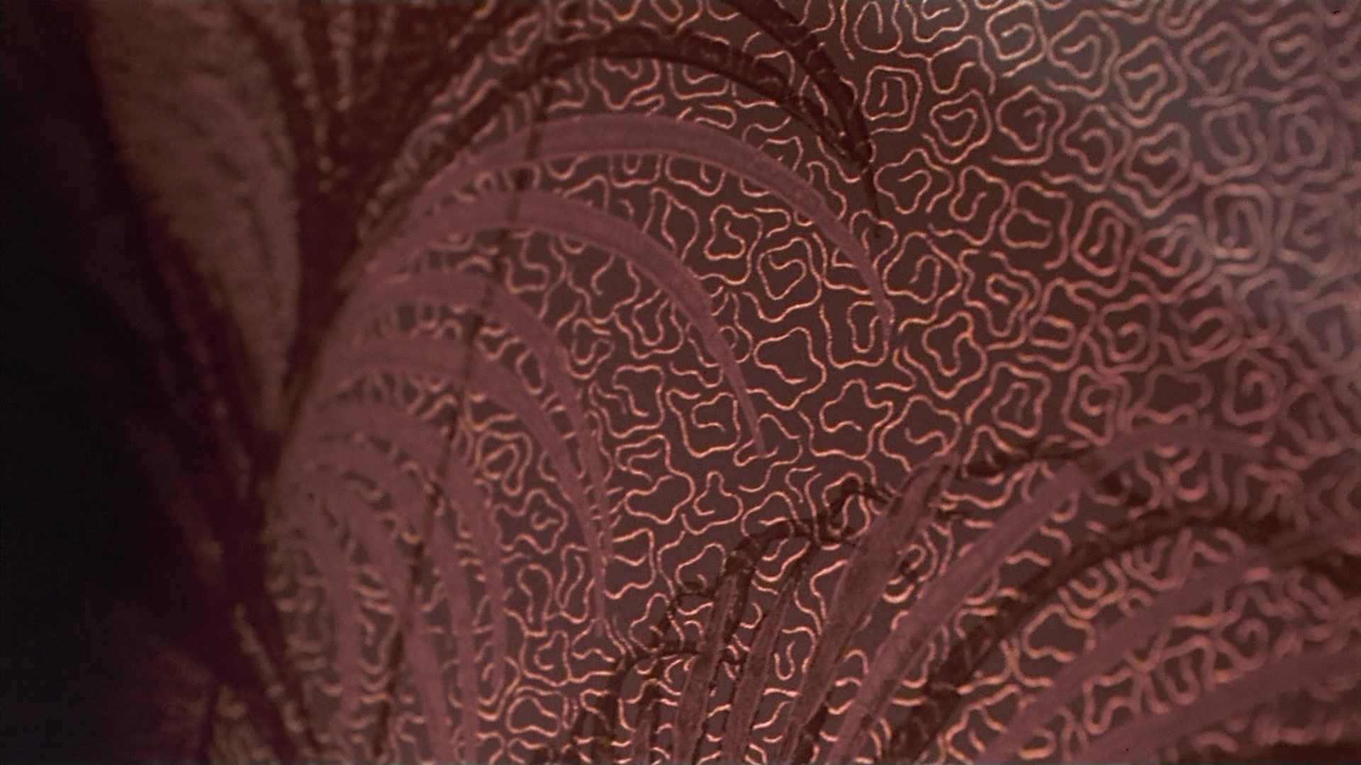 Passion Fish (1992), wide, 1.78:1 — film still