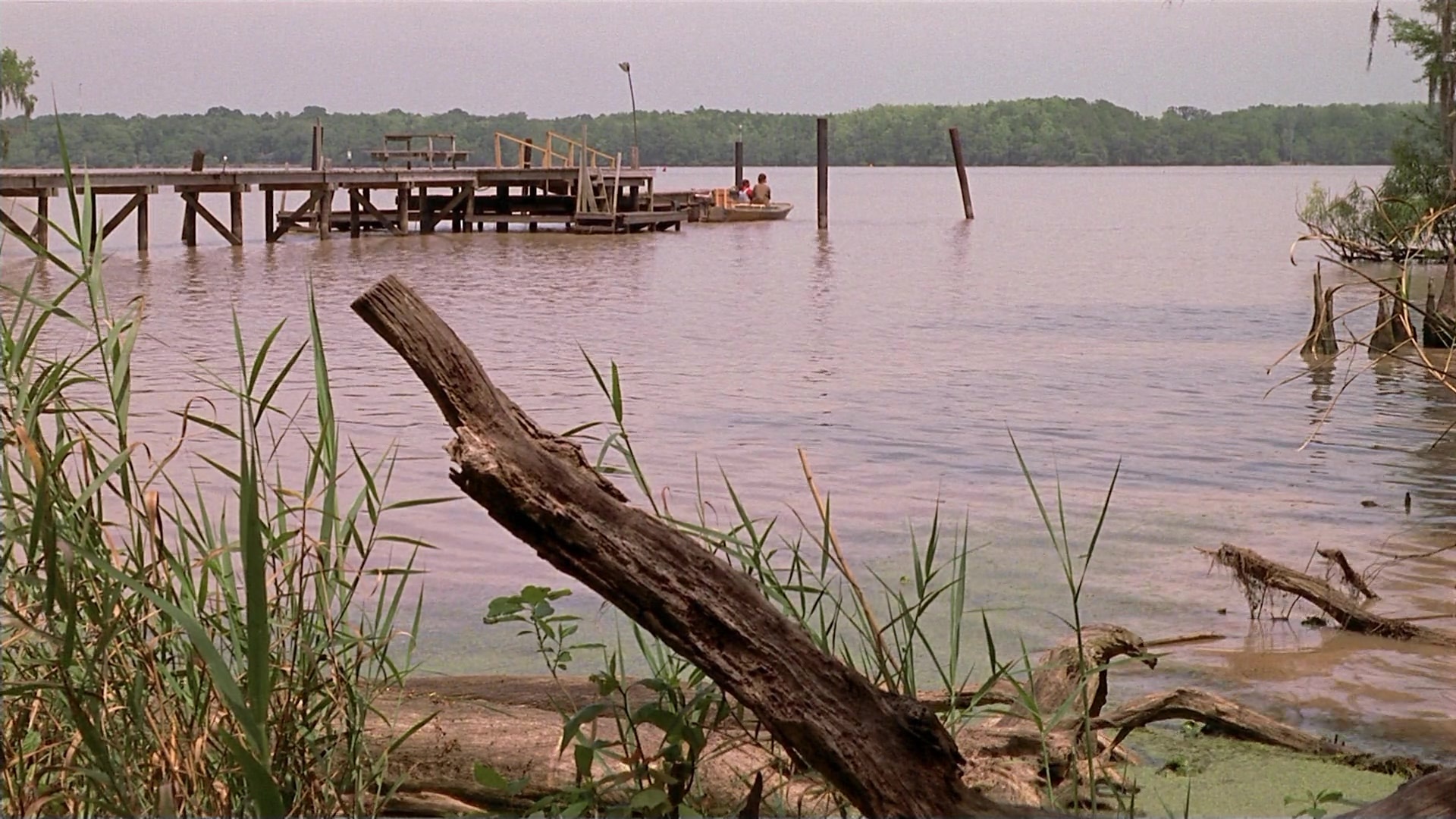 Passion Fish (1992), wide, 1.78:1 — film still