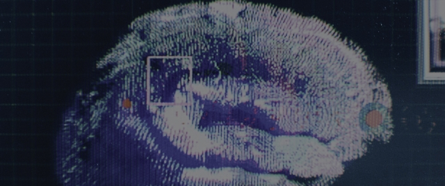 Wide shot frame from Everything Everywhere All at Once — face, human face, window