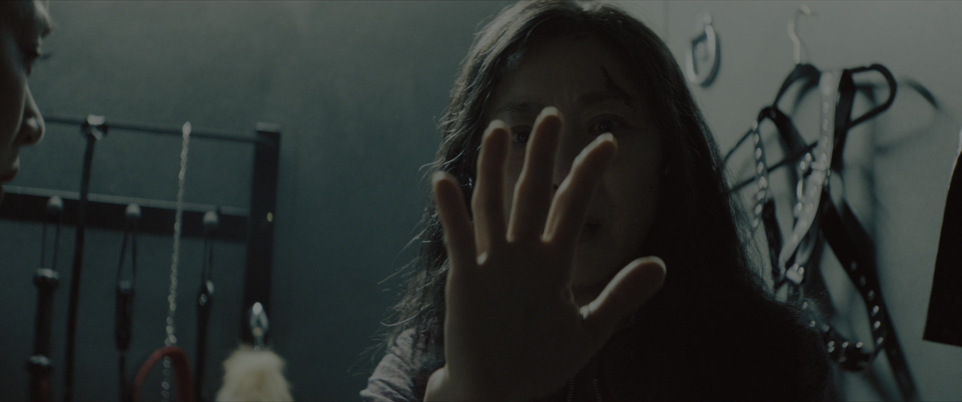 Everything Everywhere All at Once (2021), wide, 2.39:1 — film still