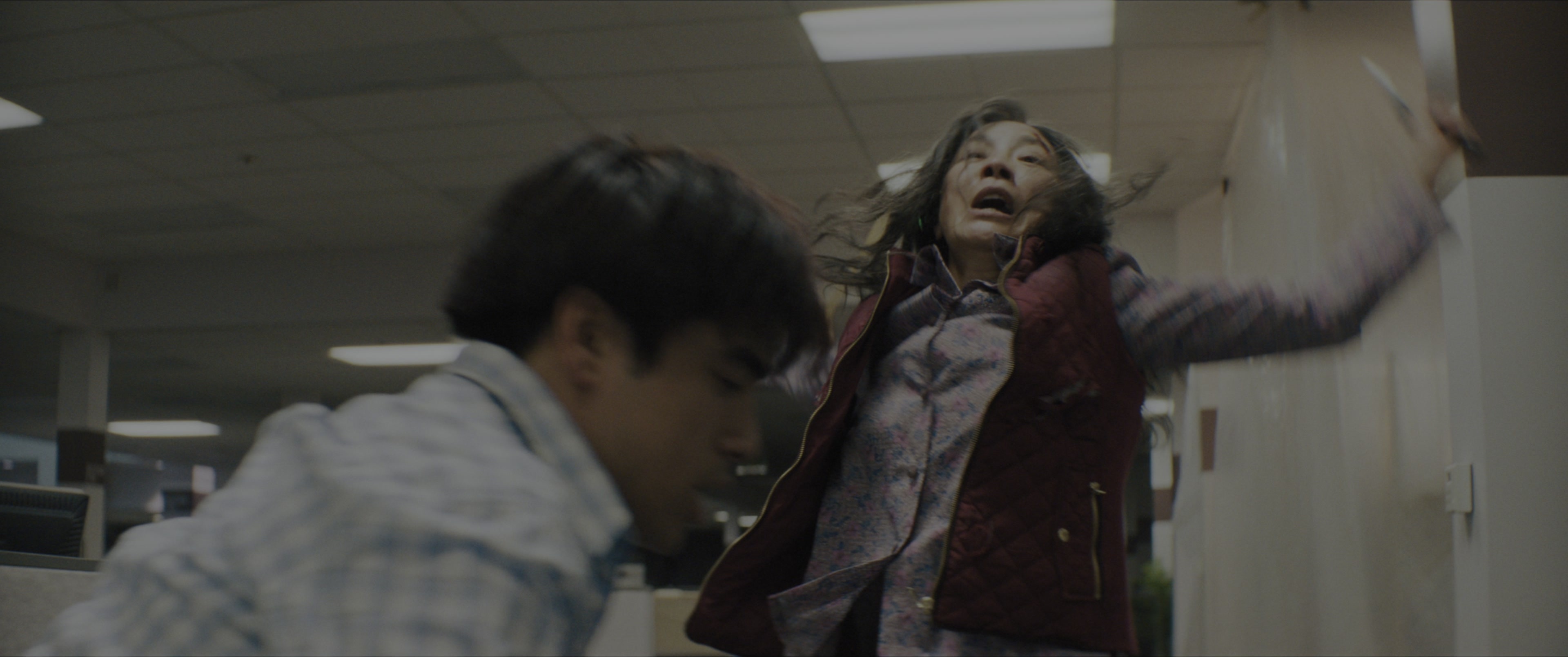 Everything Everywhere All at Once (2021), unknown, 2.39:1 — film still