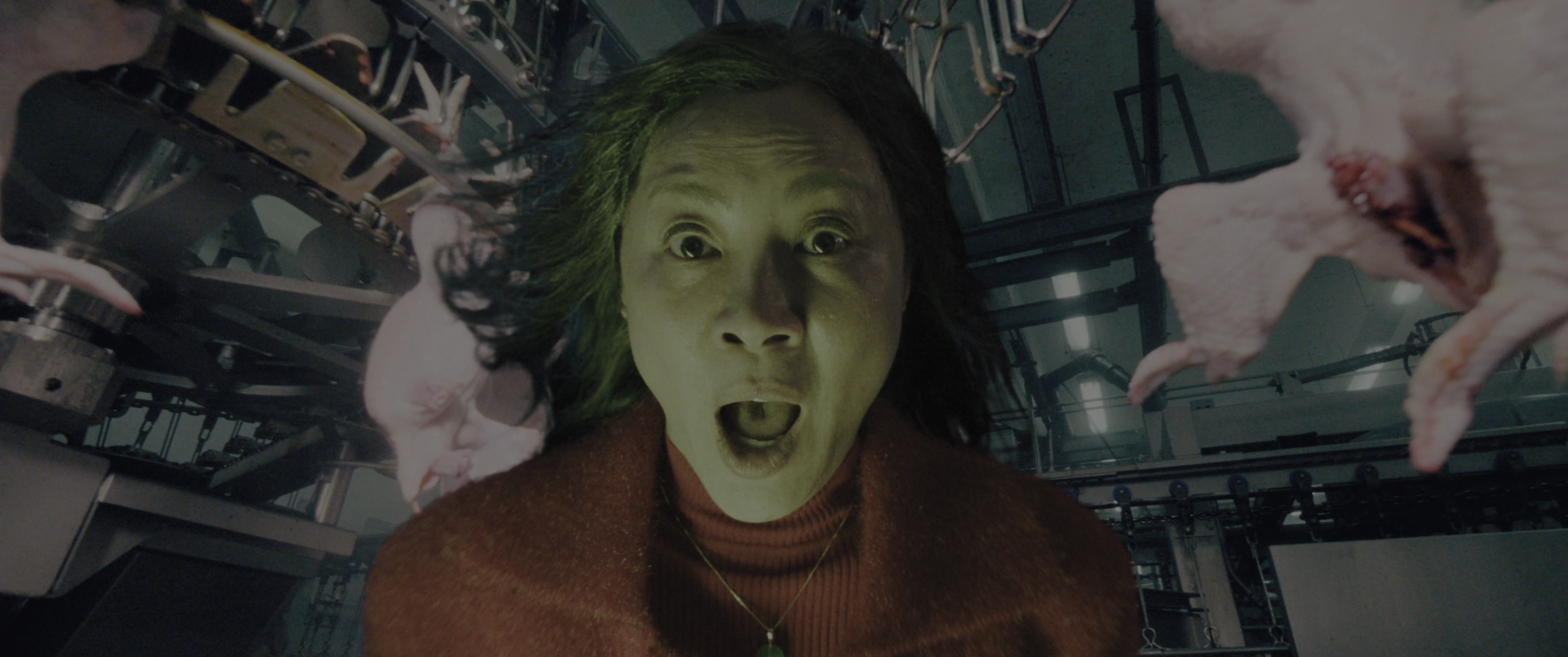 Everything Everywhere All at Once (2021), medium, 2.39:1 — film still