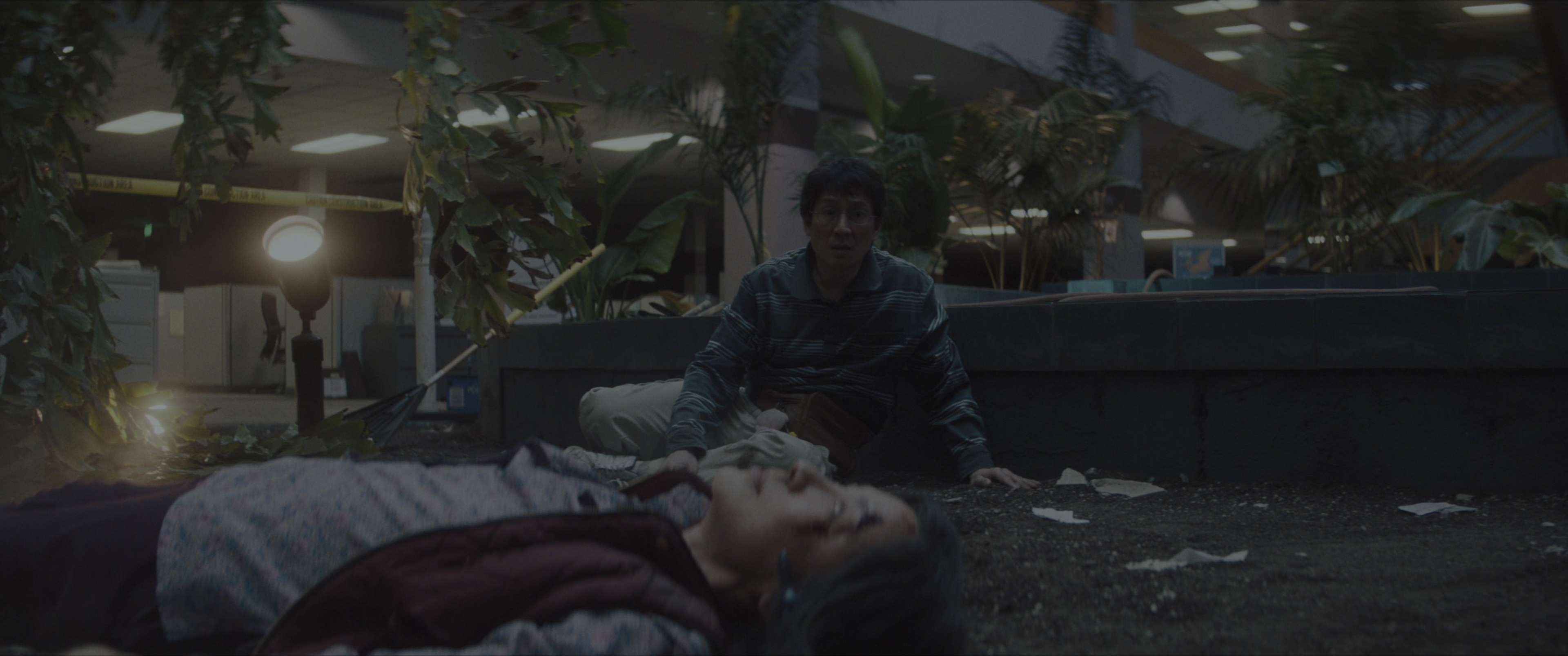 Everything Everywhere All at Once (2021), wide, 2.39:1 — film still