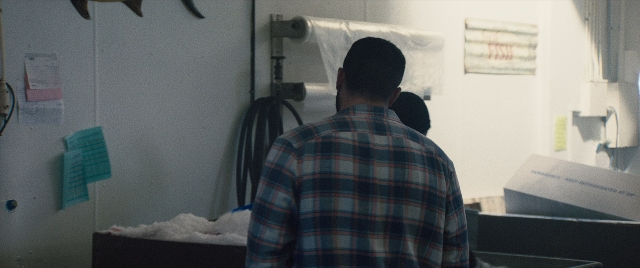 seria-182682.jpg