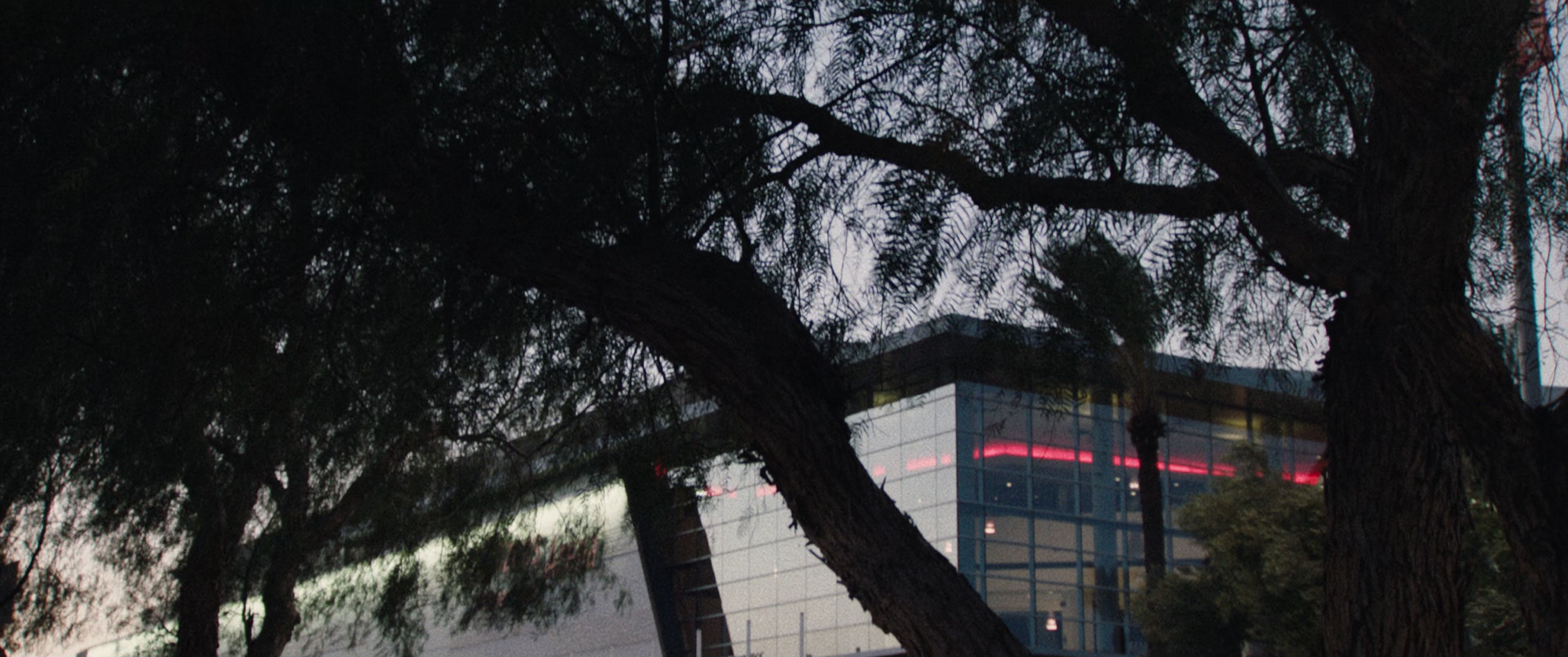 The Way Back (2020), medium, 2.39:1 — film still