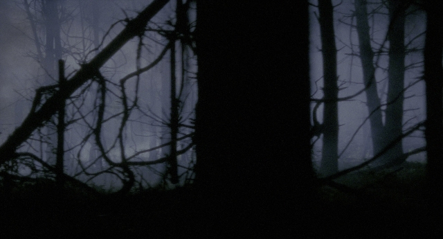 Wide shot frame from Twelve Monkeys — night, forest