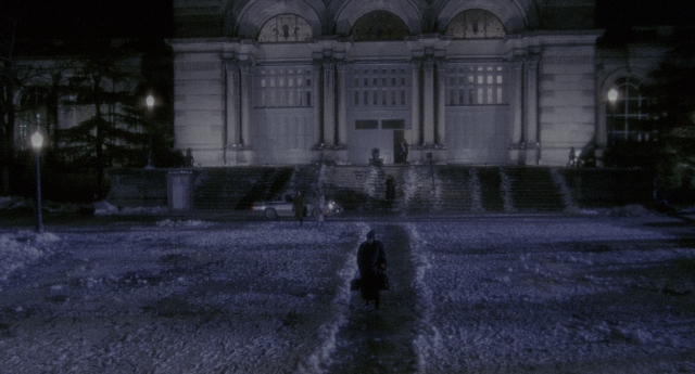 Wide shot frame from Twelve Monkeys — walking, night, snow
