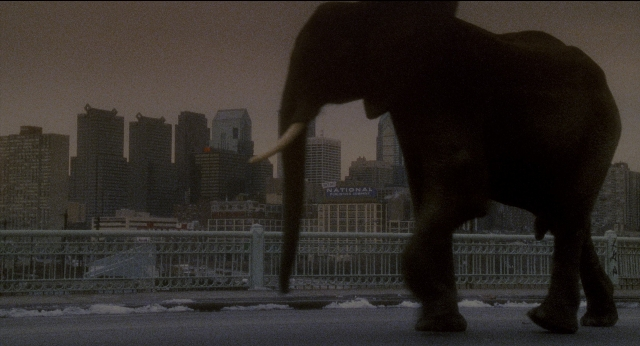 Wide shot frame from Twelve Monkeys — walking, elephant, snow
