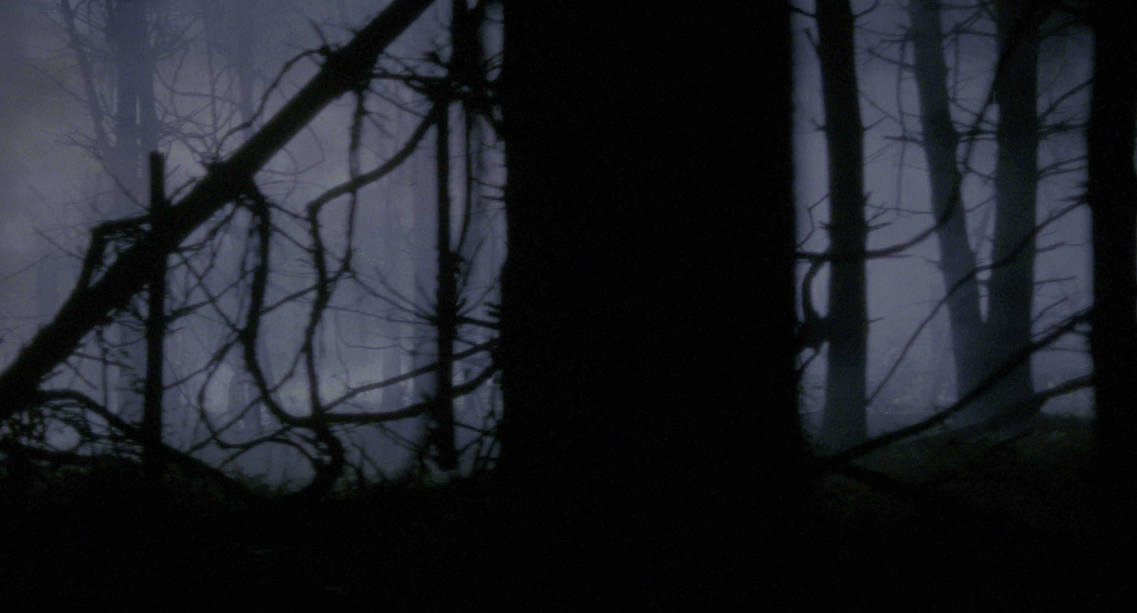 Twelve Monkeys (1995), wide, 1.85:1 — film still