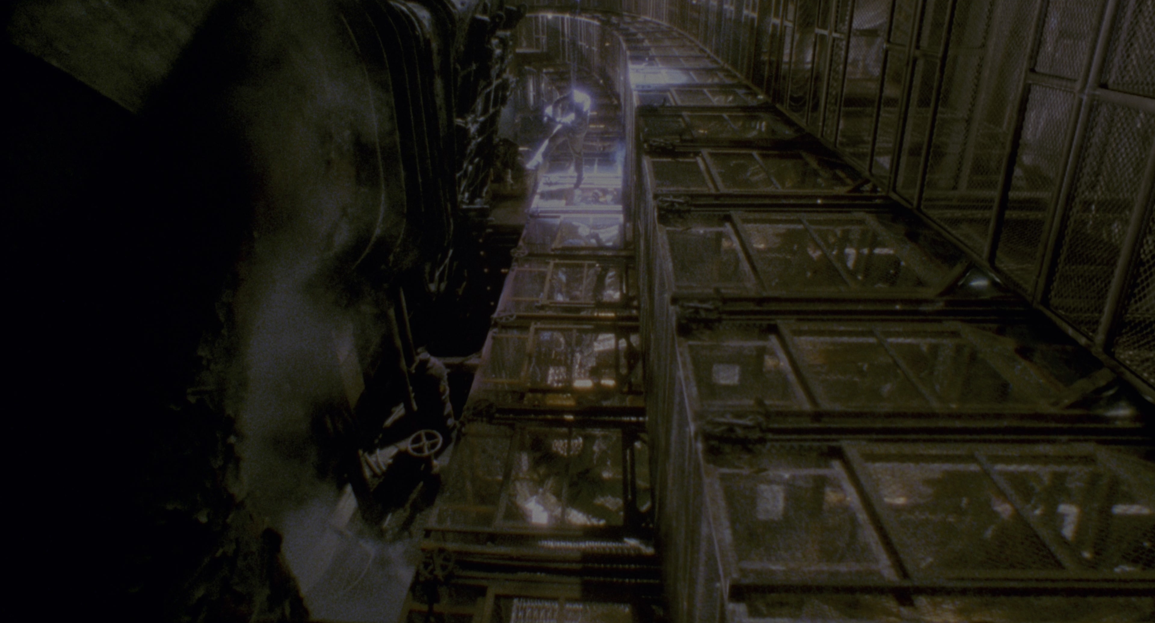 Twelve Monkeys (1995), wide, 1.85:1 — film still