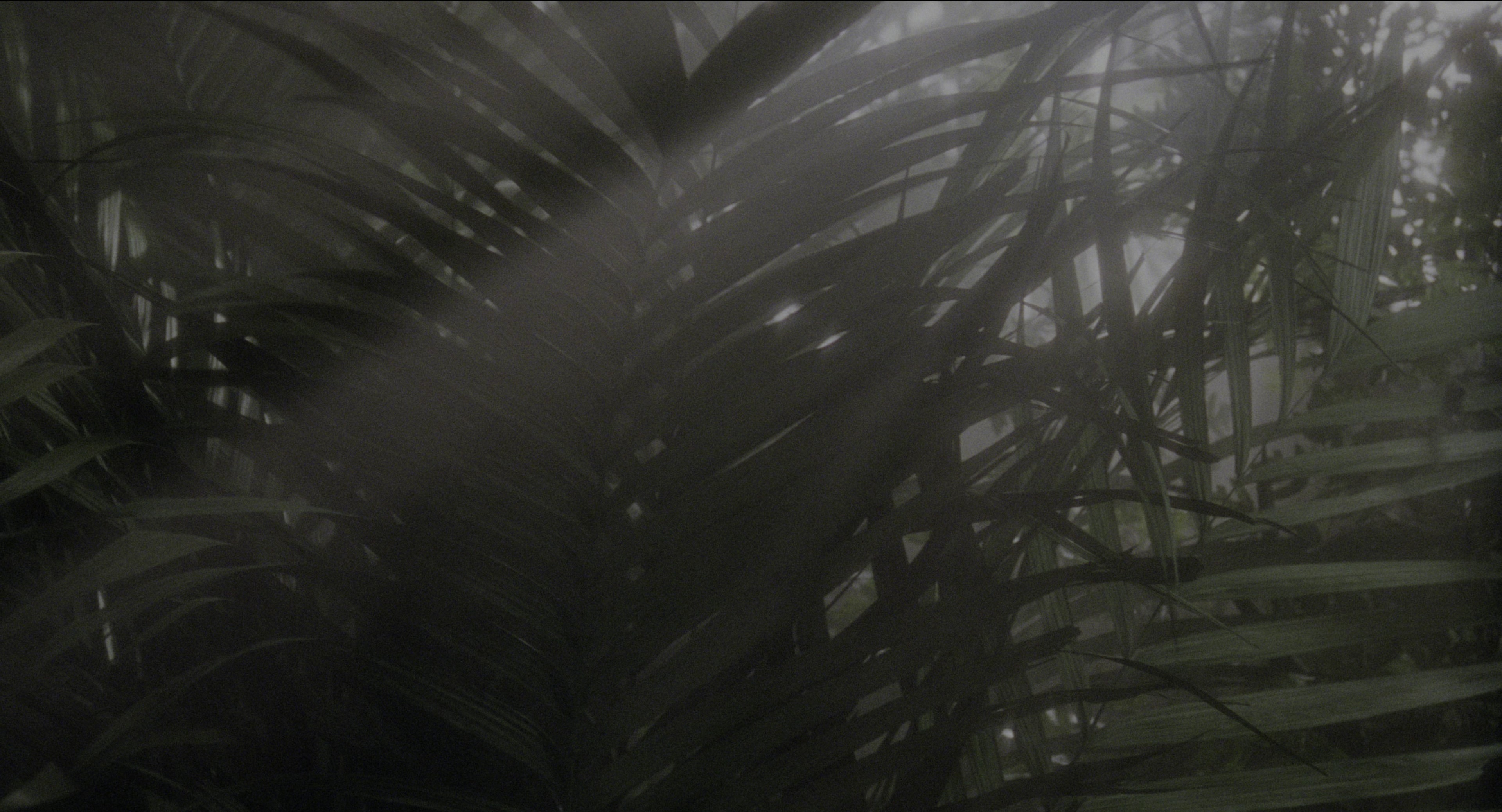 Twelve Monkeys (1995), wide, 1.85:1 — film still