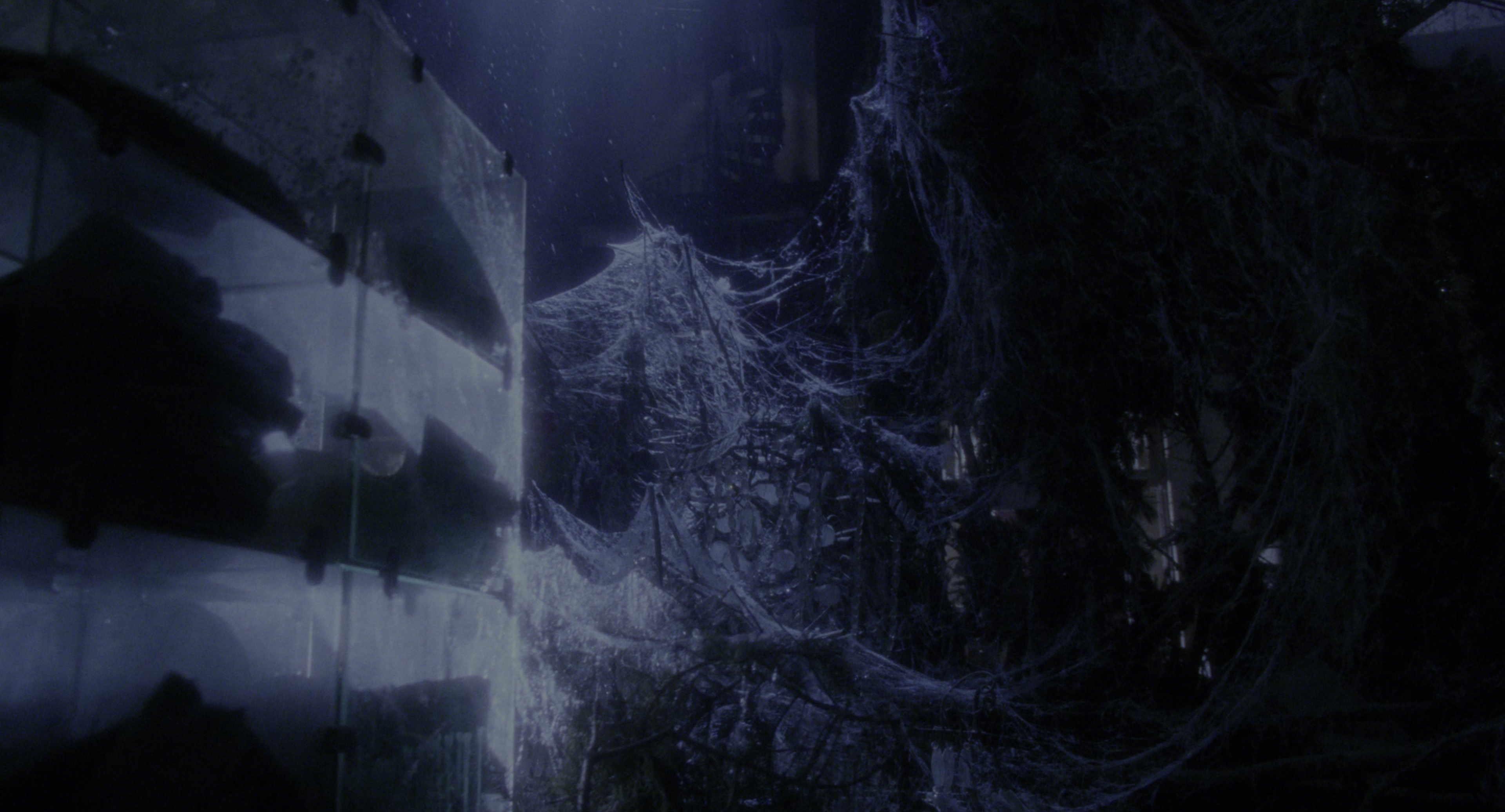 Twelve Monkeys (1995), wide, 1.85:1 — film still