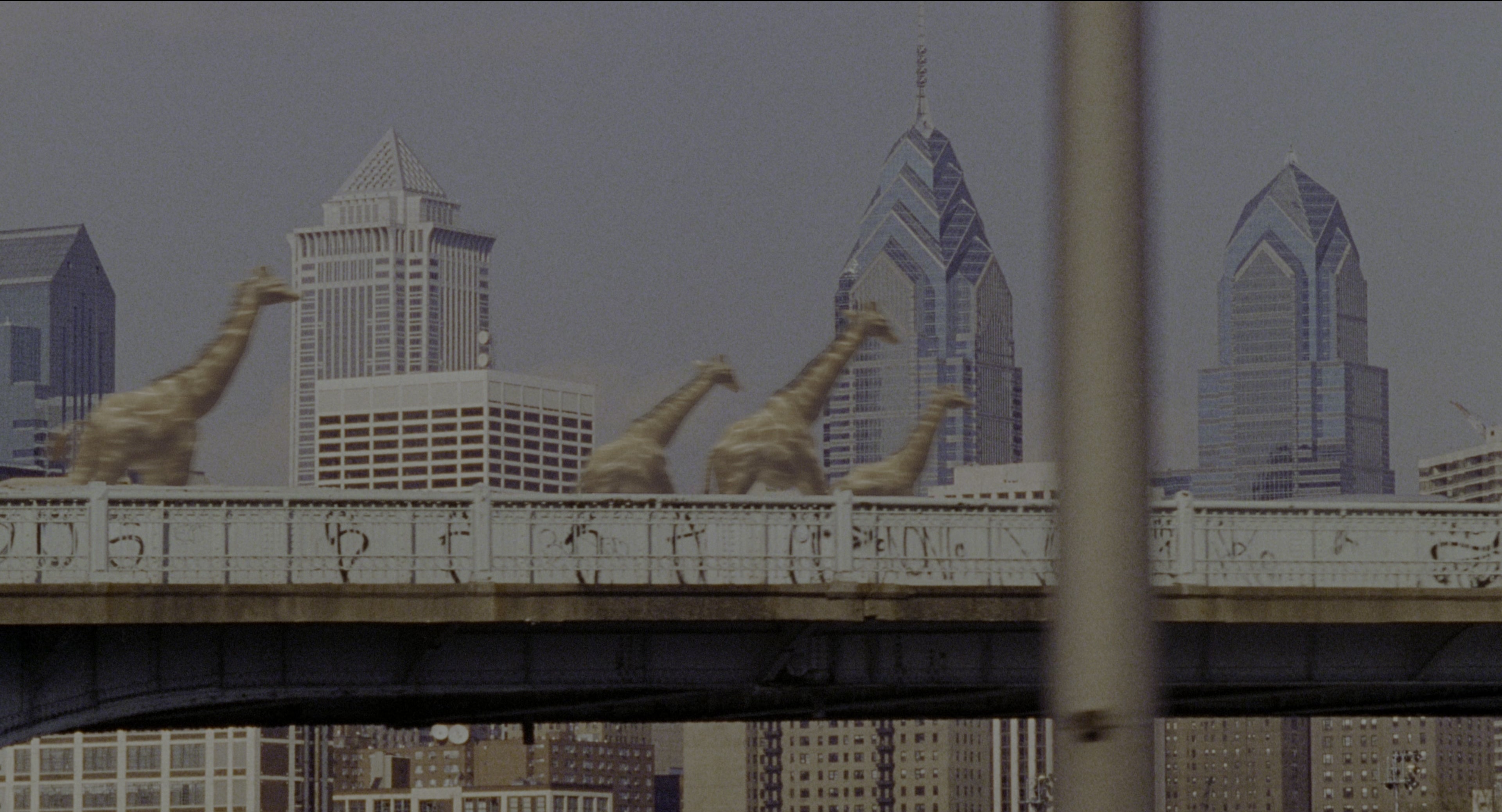 Twelve Monkeys (1995), wide, 1.85:1 — film still