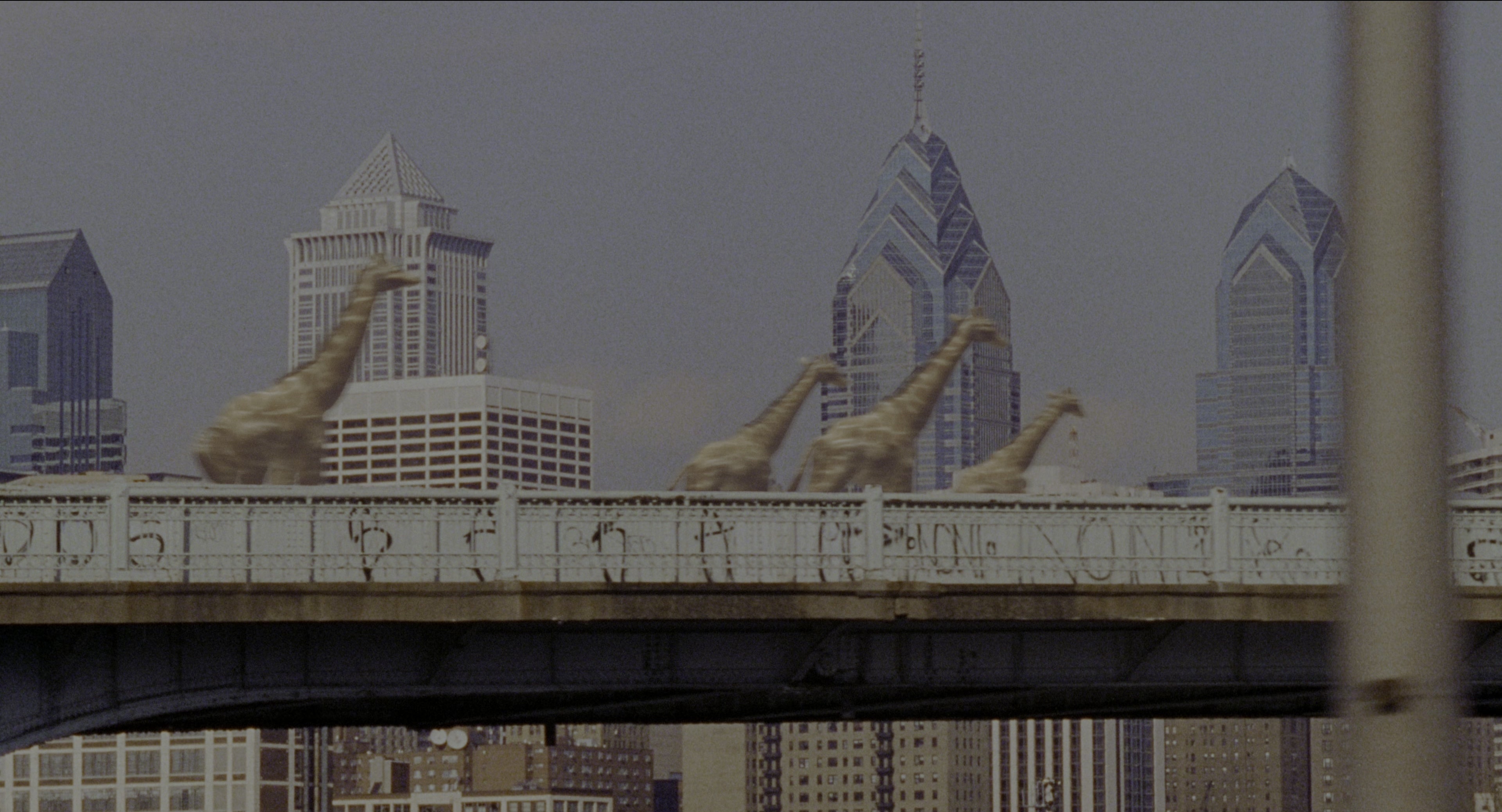Twelve Monkeys (1995), wide, 1.85:1 — film still