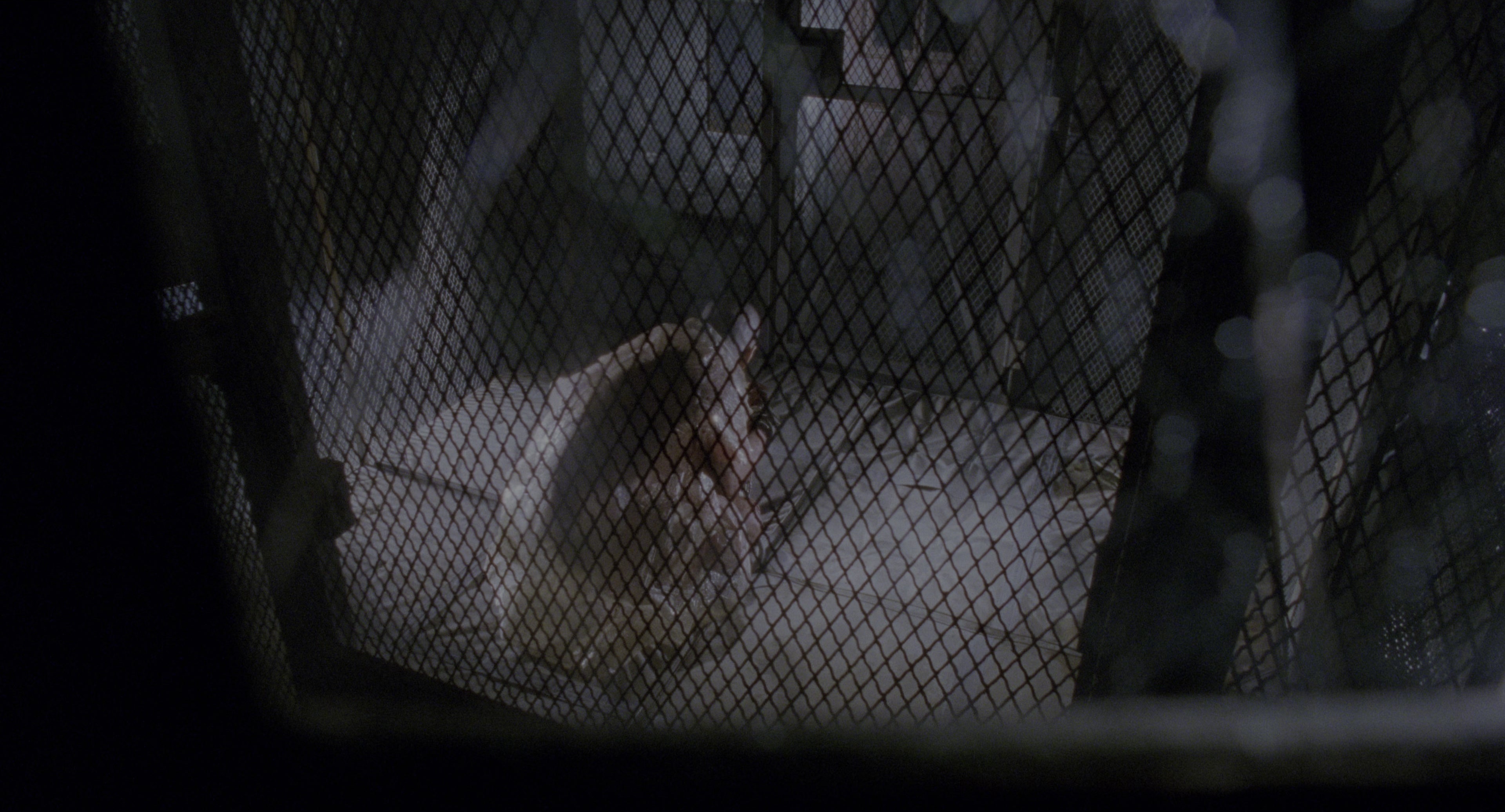 Twelve Monkeys (1995), wide, 1.85:1 — film still