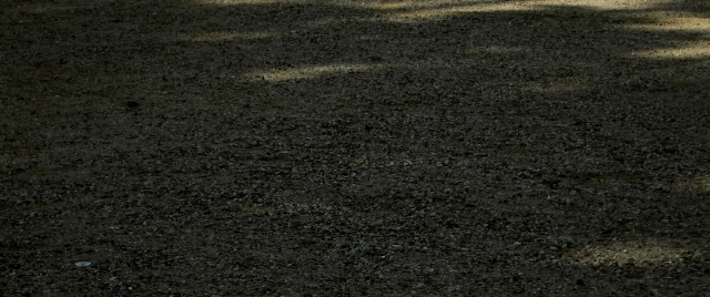seria-12708.jpg