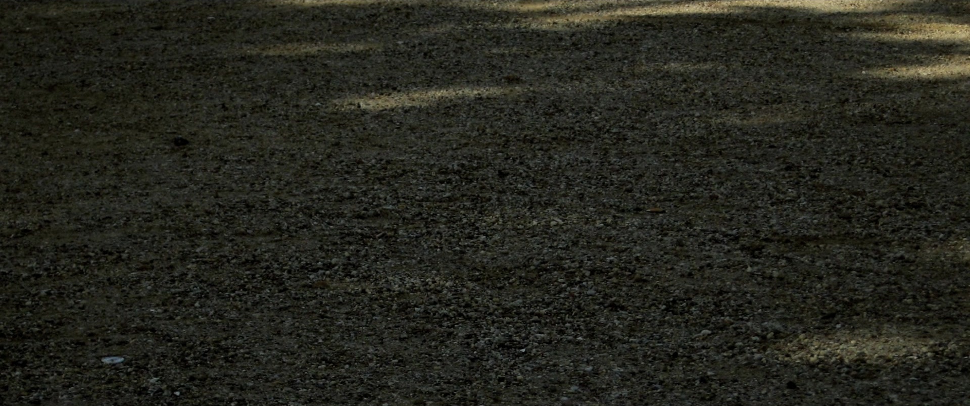 The Lunchbox (2013), unknown, 2.39:1 — film still
