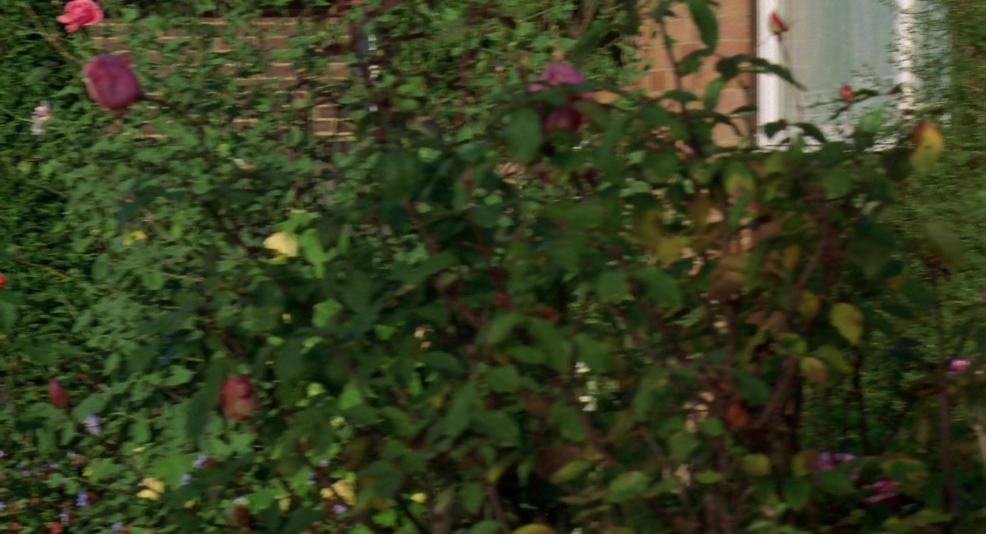 Billy Elliot (2000), wide, 1.85:1 — film still