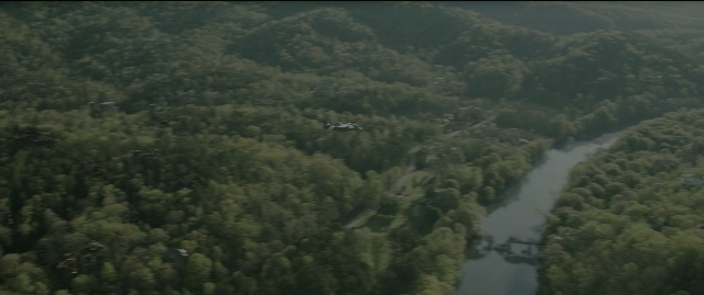 Wide shot frame from The Hunger Games: Mockingjay - Part 1 — bird, forest, running