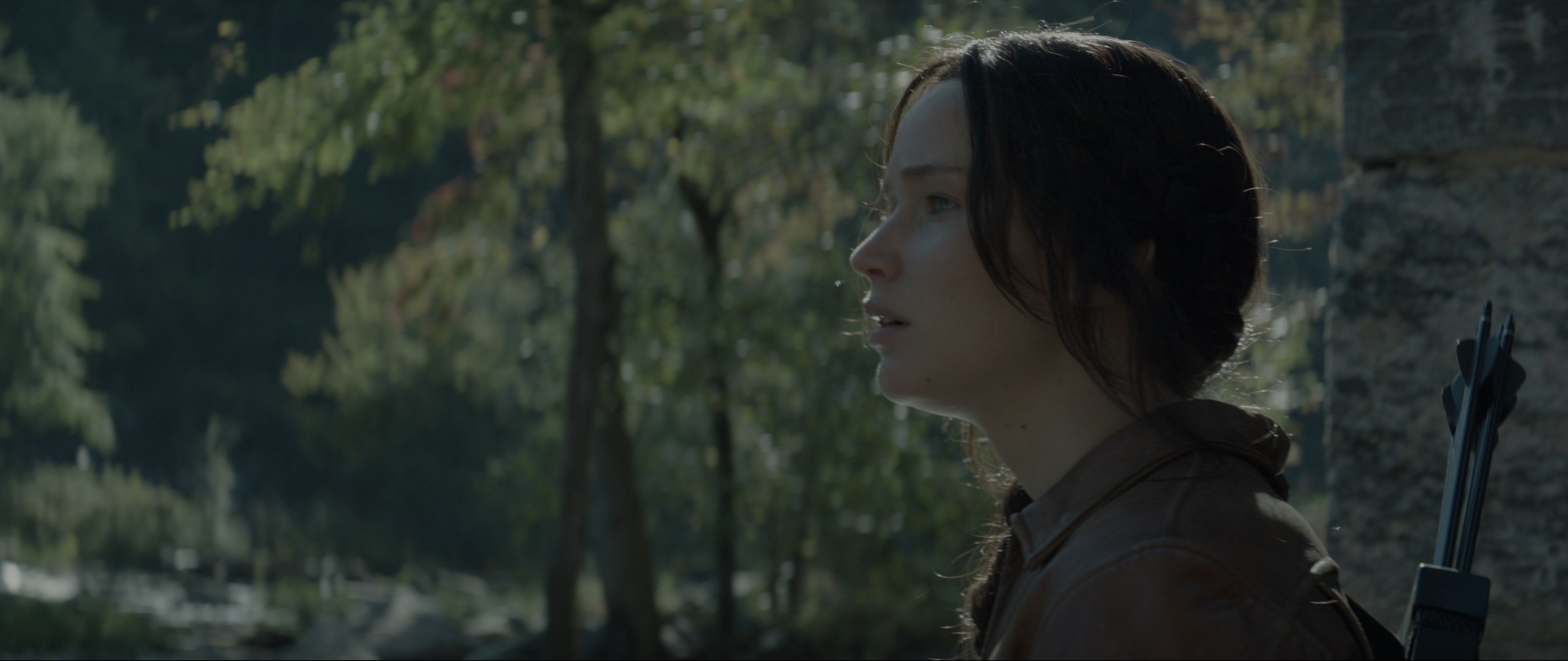 The Hunger Games: Mockingjay - Part 1 (2014), wide, 2.37:1 — film still