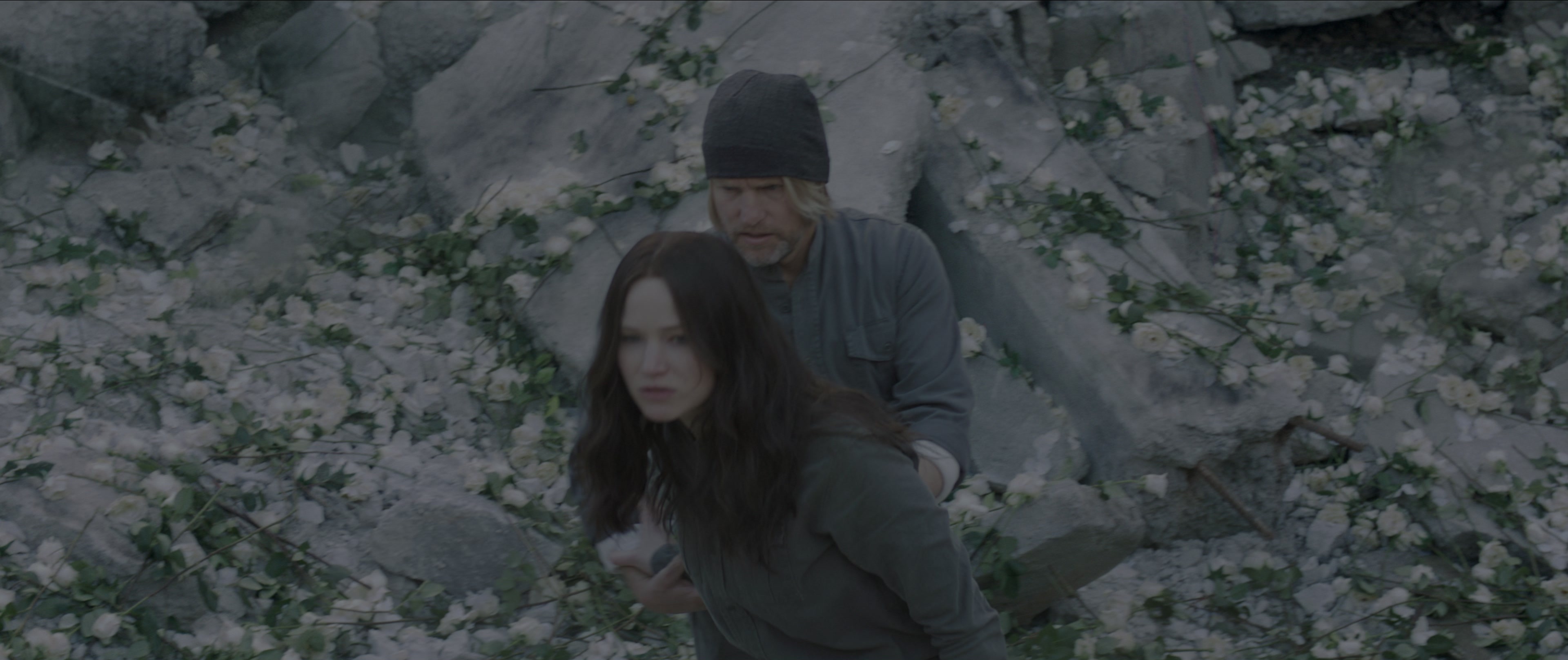 The Hunger Games: Mockingjay - Part 1 (2014), wide, 2.38:1 — film still