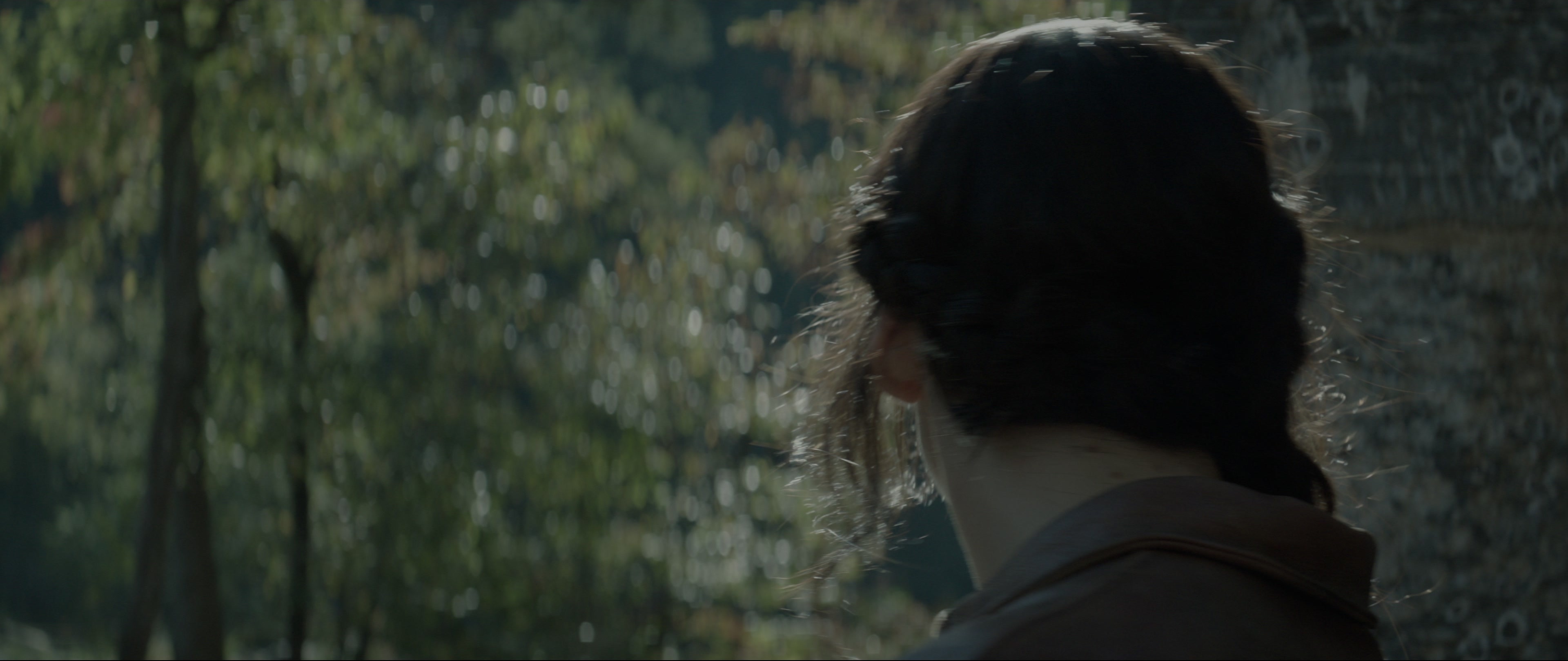 The Hunger Games: Mockingjay - Part 1 (2014), wide, 2.37:1 — film still