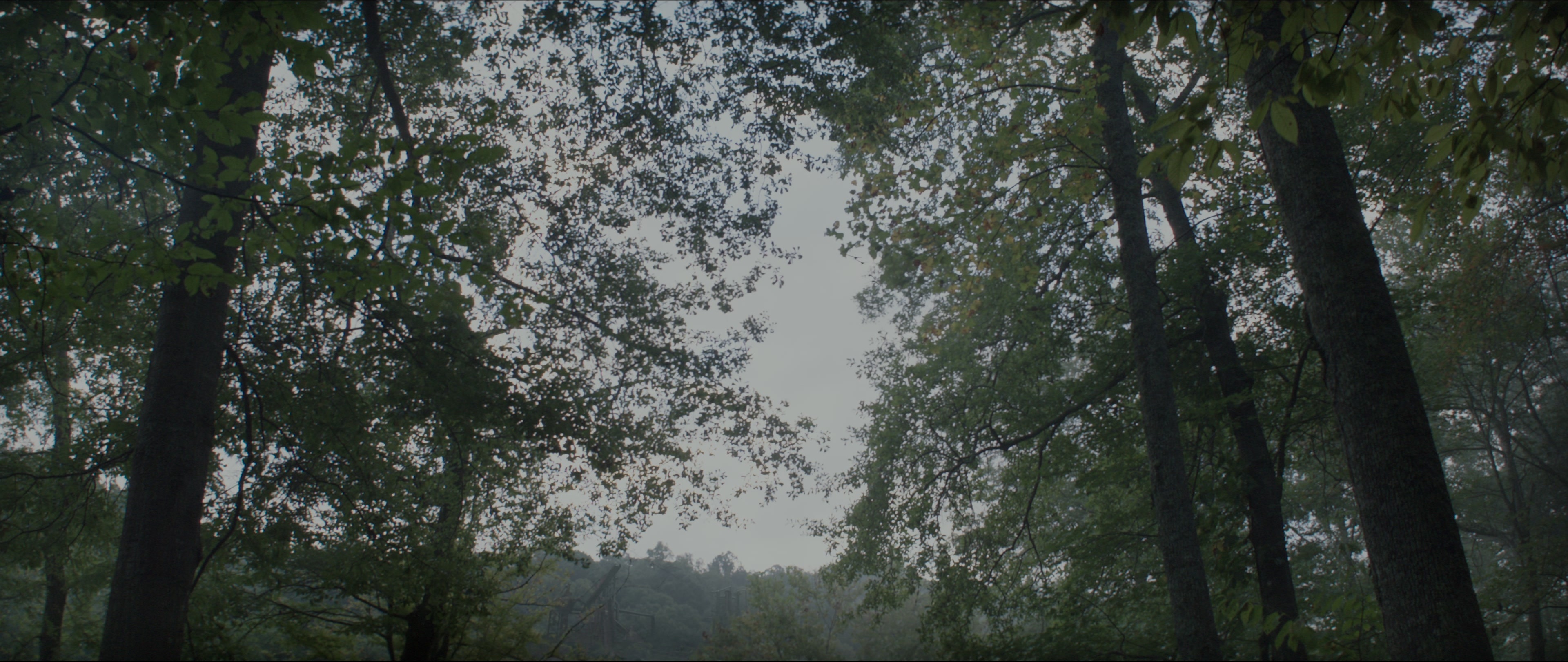 The Hunger Games: Mockingjay - Part 1 (2014), wide, 2.37:1 — film still