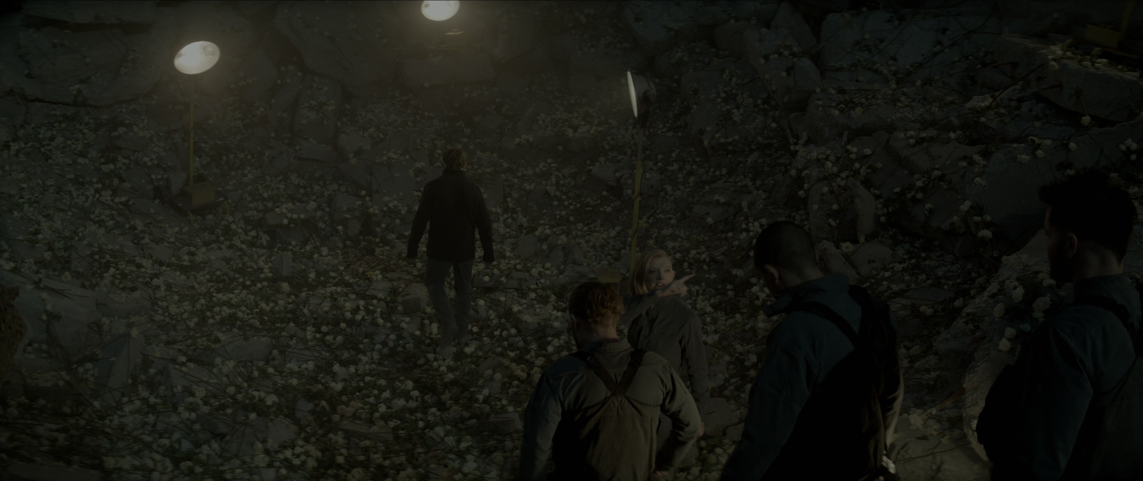The Hunger Games: Mockingjay - Part 1 (2014), wide, 2.38:1 — film still