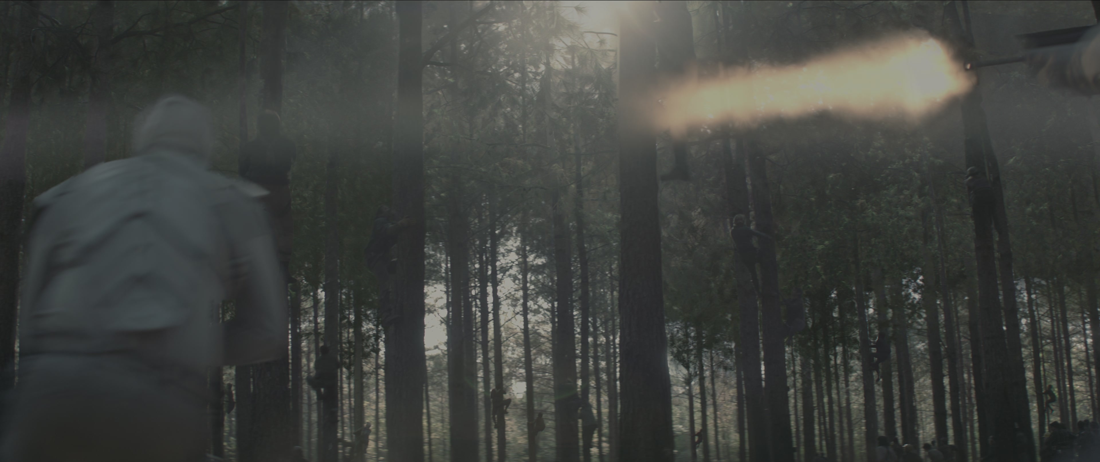 The Hunger Games: Mockingjay - Part 1 (2014), wide, 2.38:1 — film still