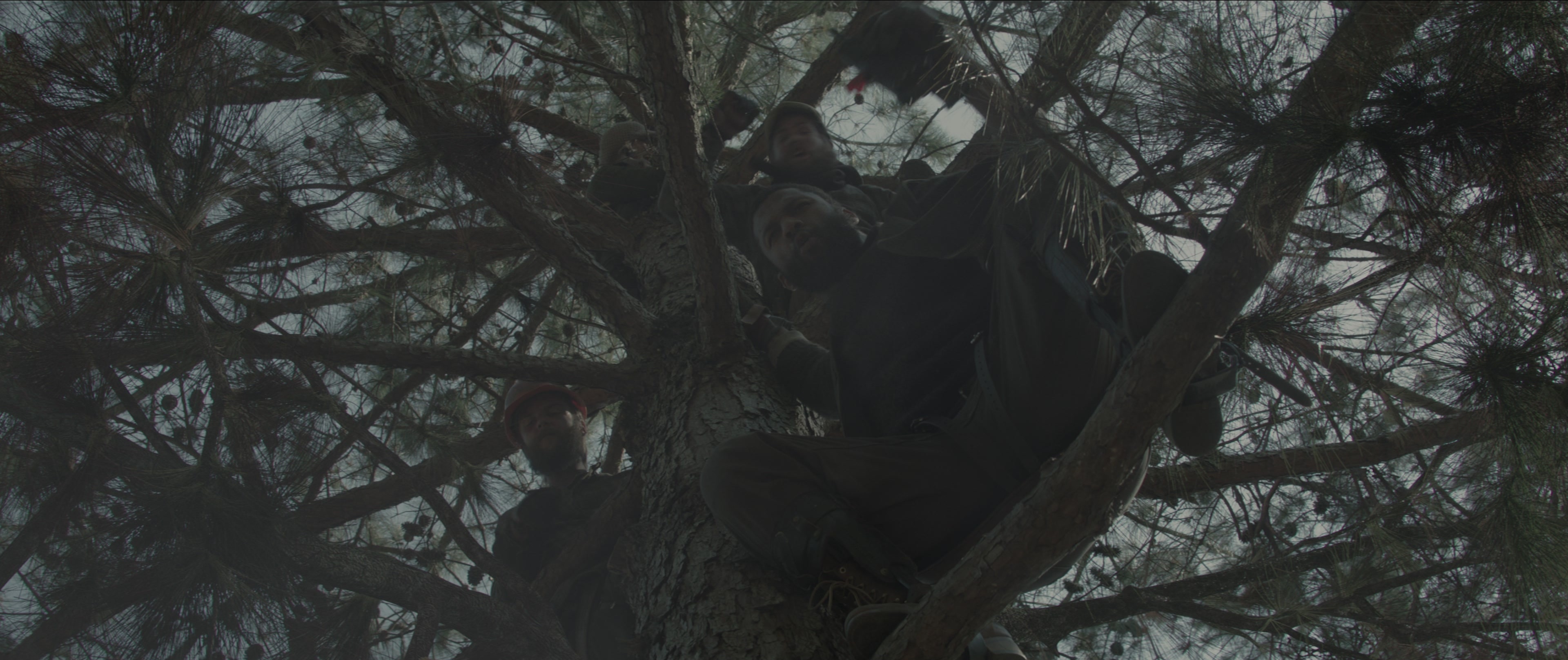 The Hunger Games: Mockingjay - Part 1 (2014), wide, 2.38:1 — film still