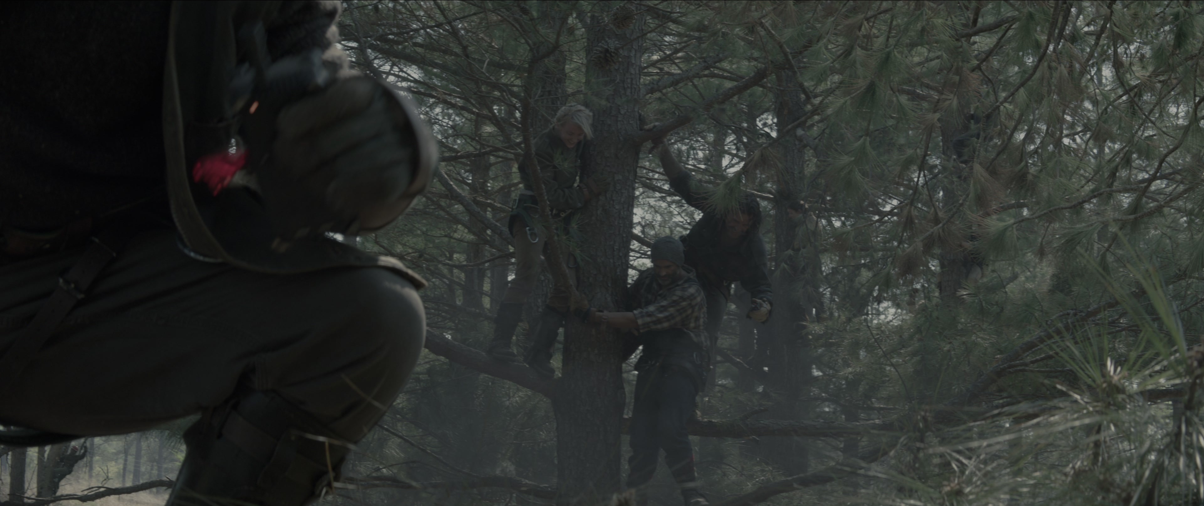 The Hunger Games: Mockingjay - Part 1 (2014), wide, 2.38:1 — film still