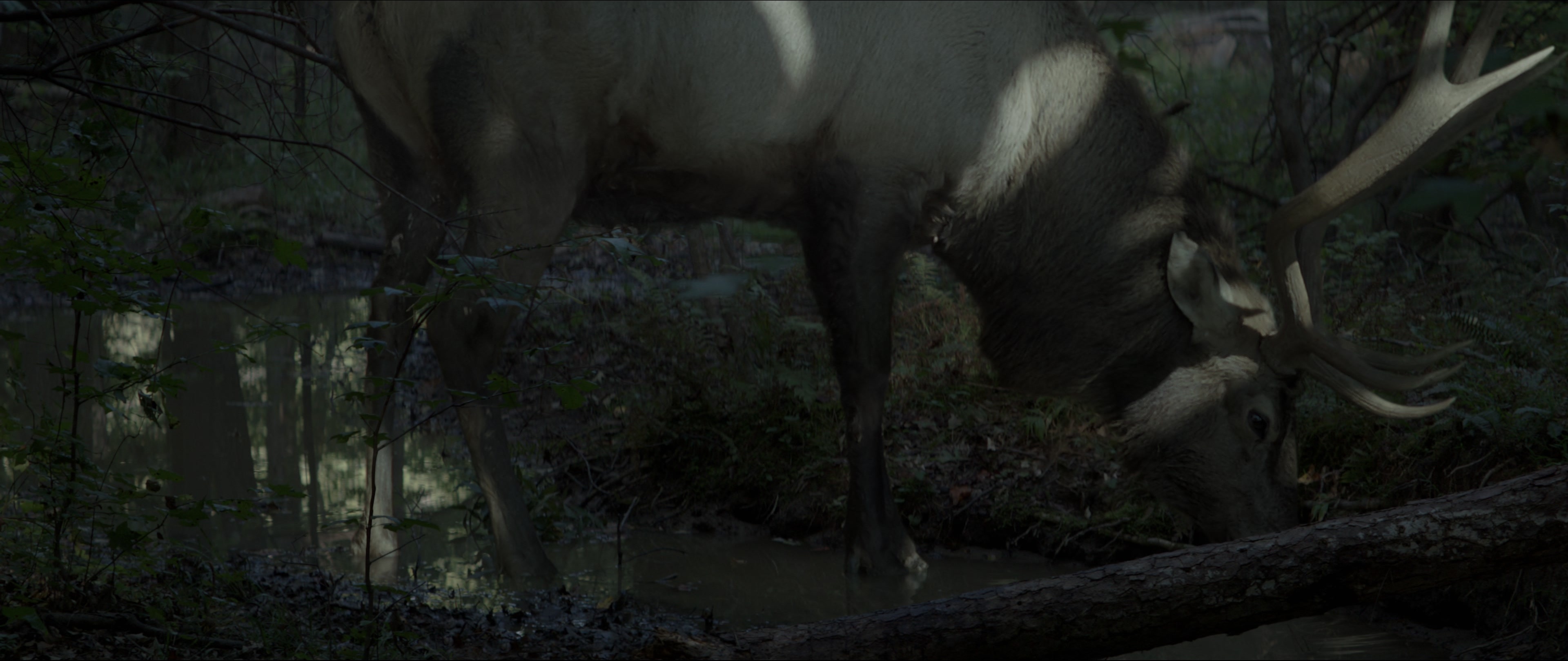 The Hunger Games: Mockingjay - Part 1 (2014), wide, 2.37:1 — film still