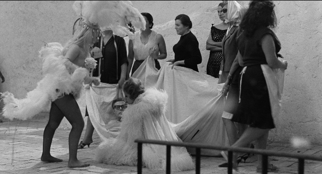 seria-294043.jpg