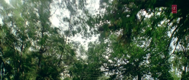 Wide shot frame from Zärtliche Begierde — forest, willow, running