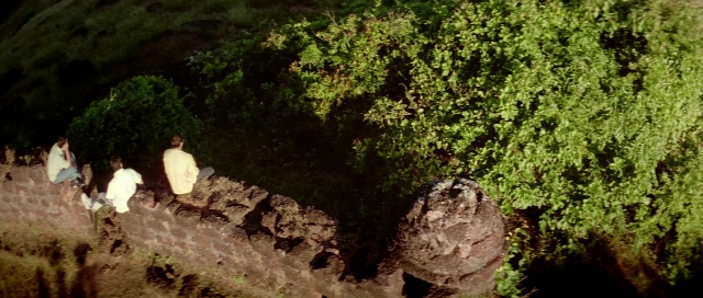 Wide shot frame from Zärtliche Begierde — sitting, night, bird