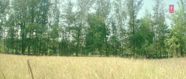 Wide shot frame from Zärtliche Begierde — willow