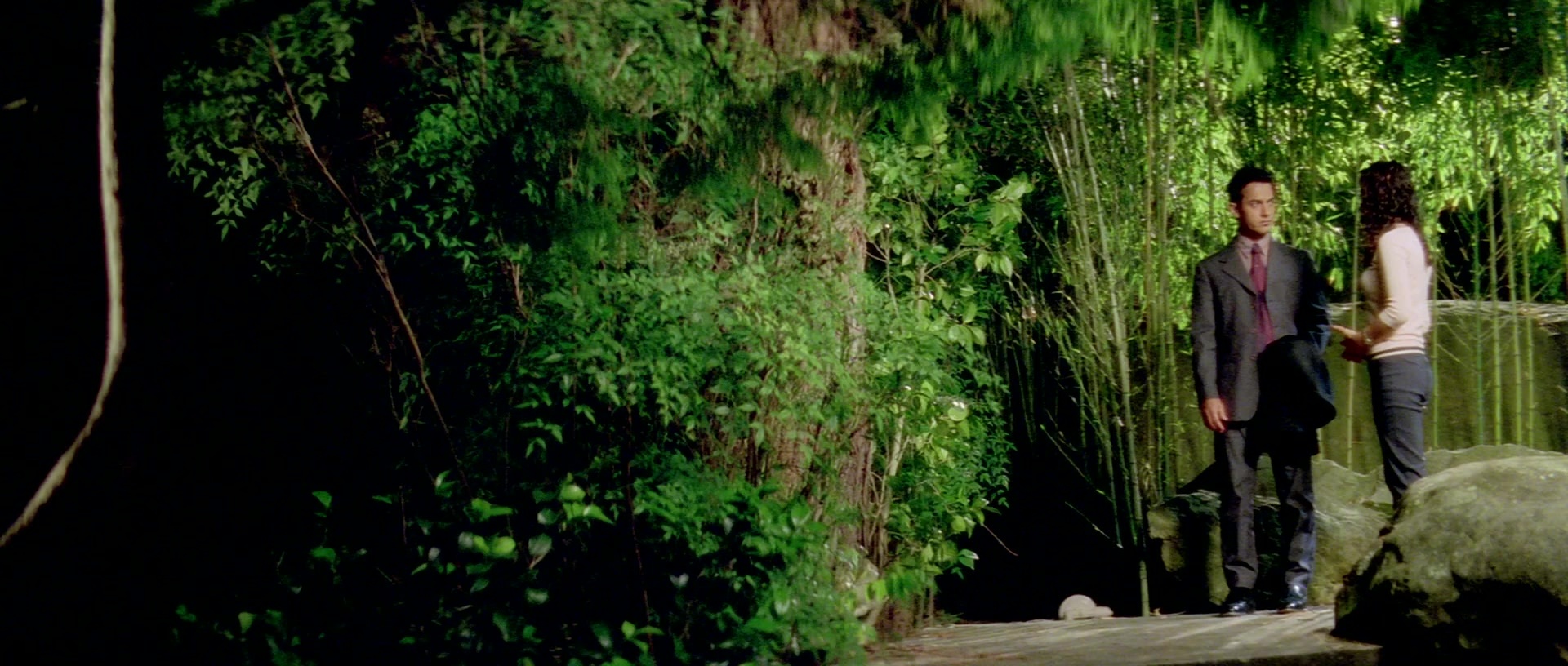 Zärtliche Begierde (1999), wide, 2.35:1 — film still