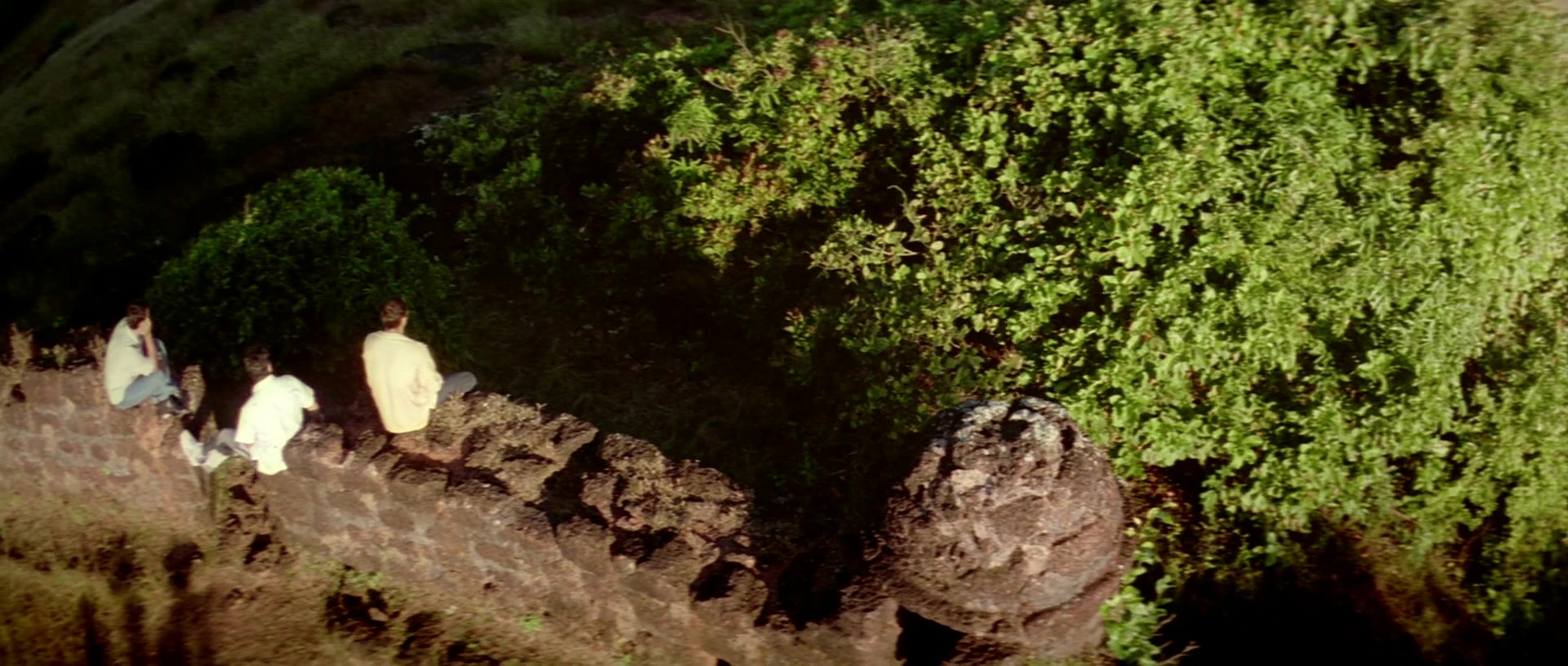 Zärtliche Begierde (1999), wide, 2.35:1 — film still