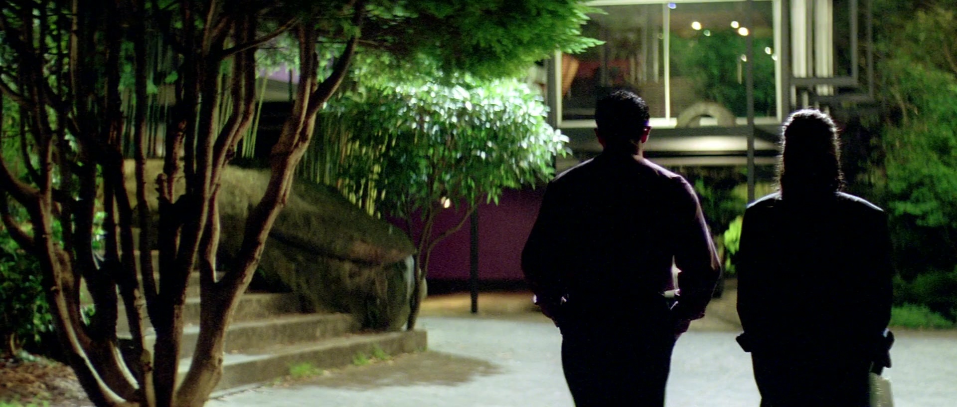 Zärtliche Begierde (1999), wide, 2.35:1 — film still