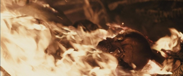 Wide shot frame from Dheepan — fire, dog, smoke