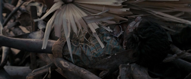 Wide shot frame from Dheepan — bird