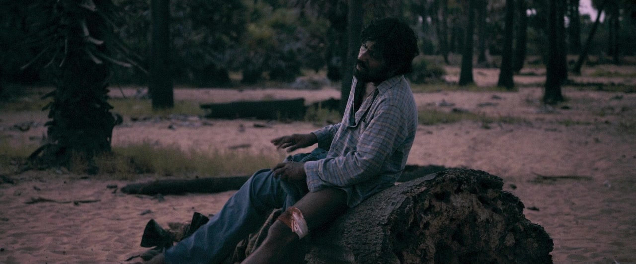 Dheepan (2015), wide, 2.41:1 — film still