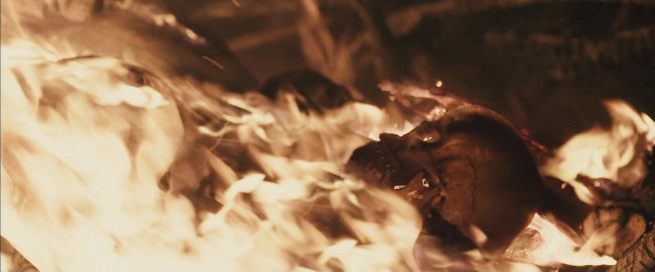 Dheepan (2015), wide, 2.41:1 — film still
