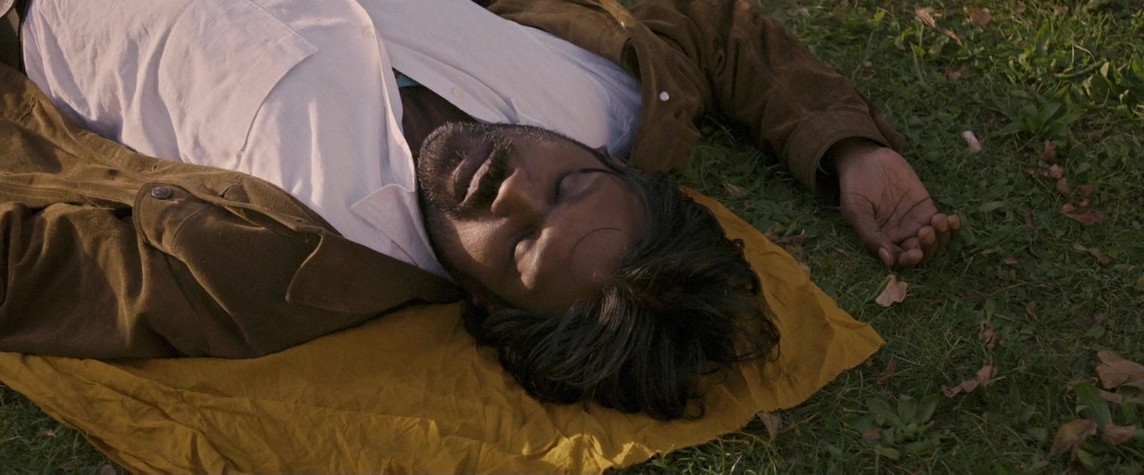 Dheepan (2015), wide, 2.41:1 — film still