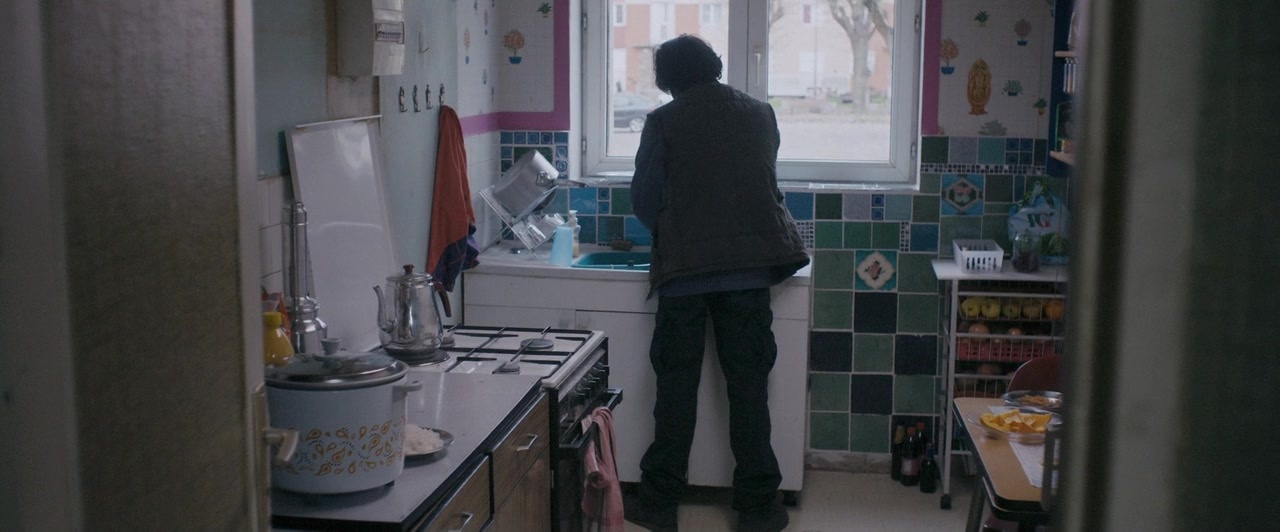 Dheepan (2015), wide, 2.41:1 — film still