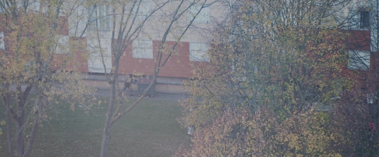 Dheepan (2015), unknown, 2.41:1 — film still